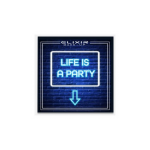 Elixir Make Up Life Is A Party Eyeshadow Palette  850D 10gr