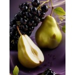 Venus Secrets Αρωματικό Σπρέι Σώματος και Μαλλιών – Blackcurrant & Pear Αα 100ml