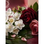 Venus Secrets Αρωματικό Σπρέι Σώματος και Μαλλιών – Jasmine & Rose Δδ 100ml