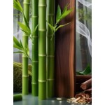 Venus Secrets Αρωματικό Σπρέι Σώματος και Μαλλιών  – Bamboo & Cedar Ζζ 100ml