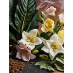 Venus Secrets Αρωματικό Σπρέι Σώματος και Μαλλιών  – Patchouli & Freesia Θθ 100ml